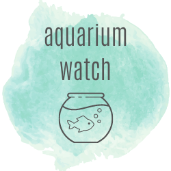 Aquarium Watch